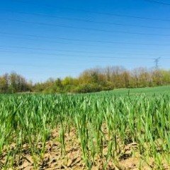 Thurs May 24th 2018 Song 2 A