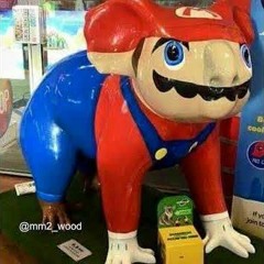 ando como mario! dijo akapellah xd