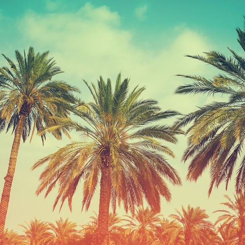 Tropical house