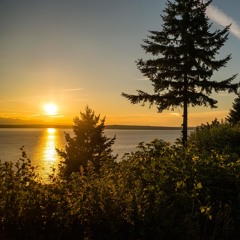 The Park - Young Cocoa Bean