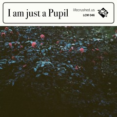 LCM046 - I am just a Pupil