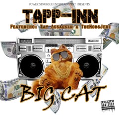 Big Cat Ft Tay Assassin & TheMobsJedi