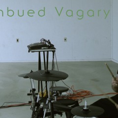 Imbued Vagary - Utopian Gong (Live at SHAPE Solstice Arts Festival 06/20/15)