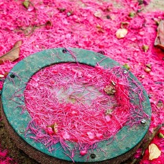 OssO Live Session 2018 - Jambo JAM