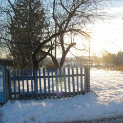 A Light In The Window