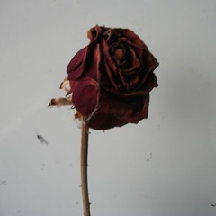 Goosebumps (10th Ave)