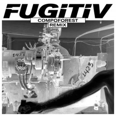 PREMIERE | Fugitiv - Compoforest (Black Light Smoke Remix) [Nein] 2018