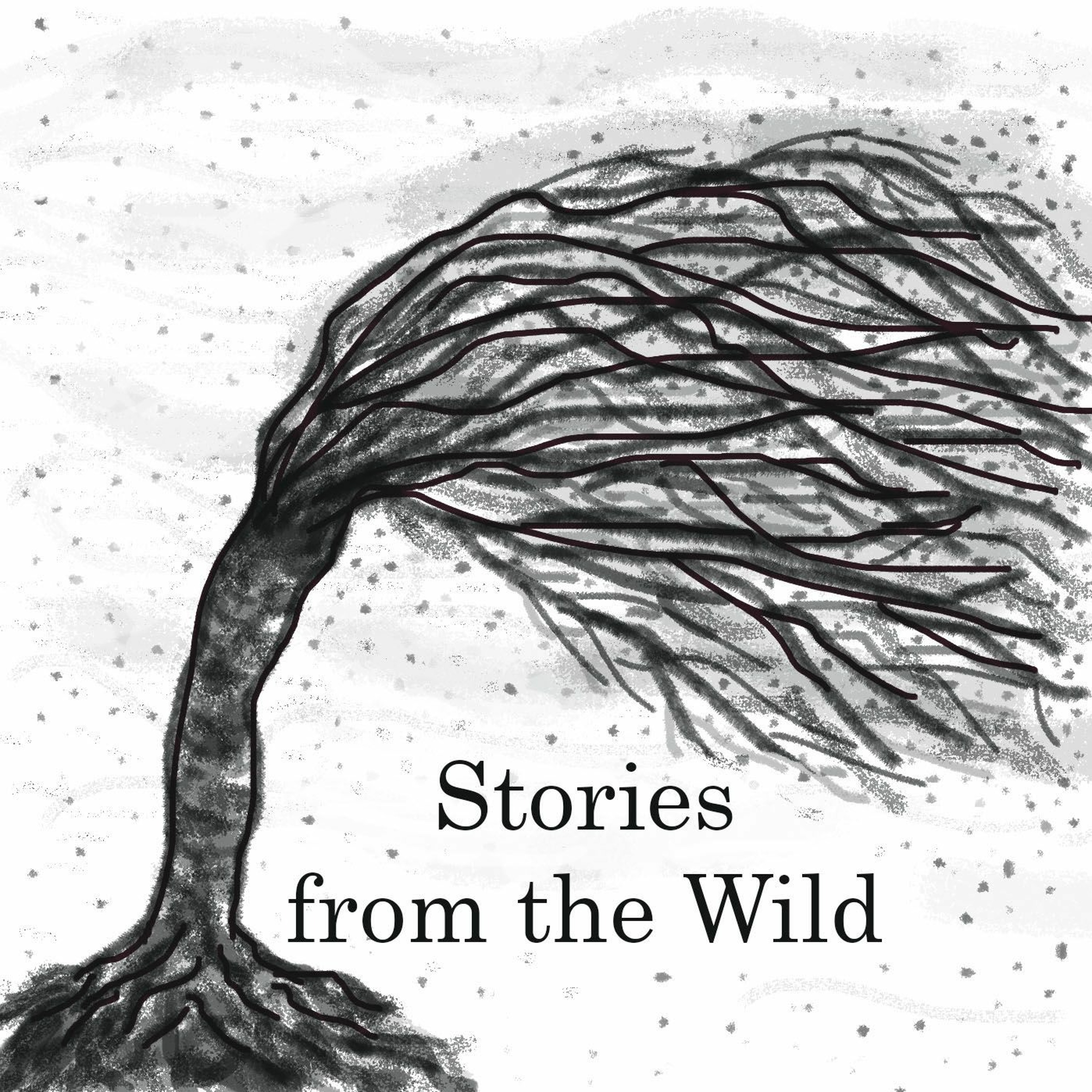 Stories From The Wild, Episode 1, Part 2: A Conversation with Paul Verryn