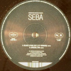 Seba - Snow