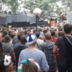 Fusion (Bachstelzen), Lärz
