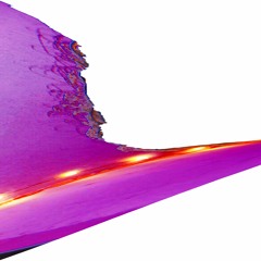 TAYLORPONTON - ALIVE1 [837001]