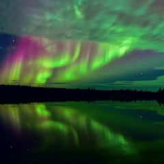 Пошлая Молли - Ты Такая Тупая