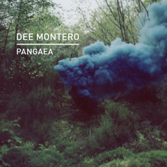 Premiere: Dee Montero - Voyager [Knee Deep In Sound]