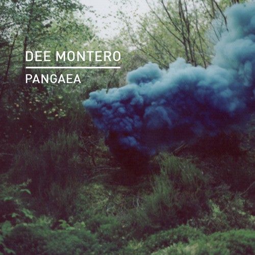 Premiere: Dee Montero - Voyager [Knee Deep In Sound]