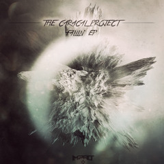 The Caracal Project - Funkin'