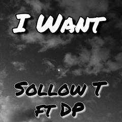 Sollow T - Ft DP - I Want.mp3