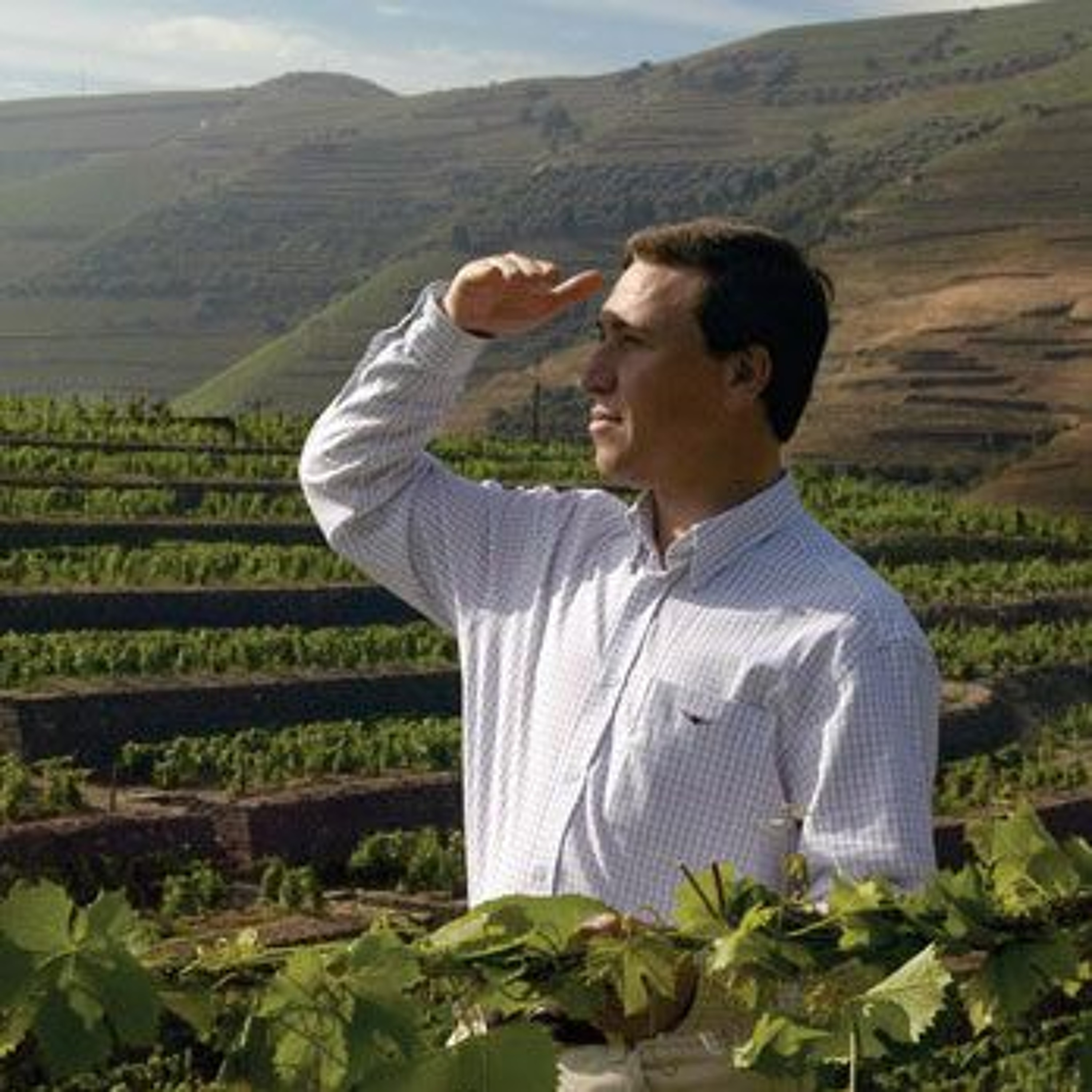 Wine Podcast: The Honest Pour with John Lenart