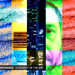 Curiosity Of The Day