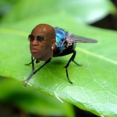 OMA - Back Out (Rough Draft)(MP3)