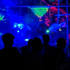 DnB grooves