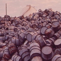 The Childhood of Caribbean Thomas