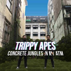 05 - Rapthology 2.2 (Performed By P - FLO) Meek Mill's Rico Instrumental