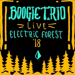 BOOGIE T.RIO - Live at Electric Forest '18