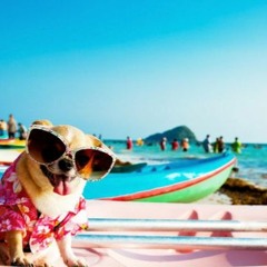 Spektur  - Summer (Radio Edit)