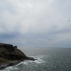 Waves X Trey M's X JiD (Prod King  Taylor)