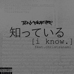I Know Feat. ChrisTsunami Prod. by Slyrax