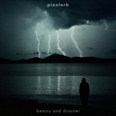 Beauty And Disaster