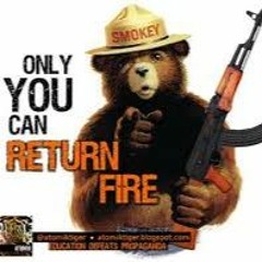 BEARS DON'T KILL PEOPLE