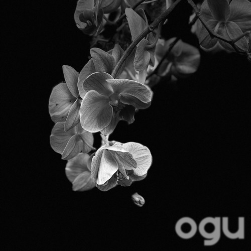 Premiere : Foby - Joana