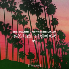 PALM TREES ft. Big Cuatro (prod. Big Cuatro)