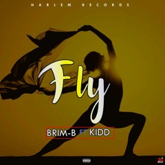 Brimb x kidd - FLY