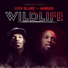 Akini Blake - Wild Life (feat. Mavado)