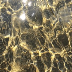 Dear Carl - See You When You Get Rich!