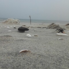 Dark Image - Days Gone