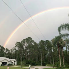 FIRST DAY OUT  BIZZO