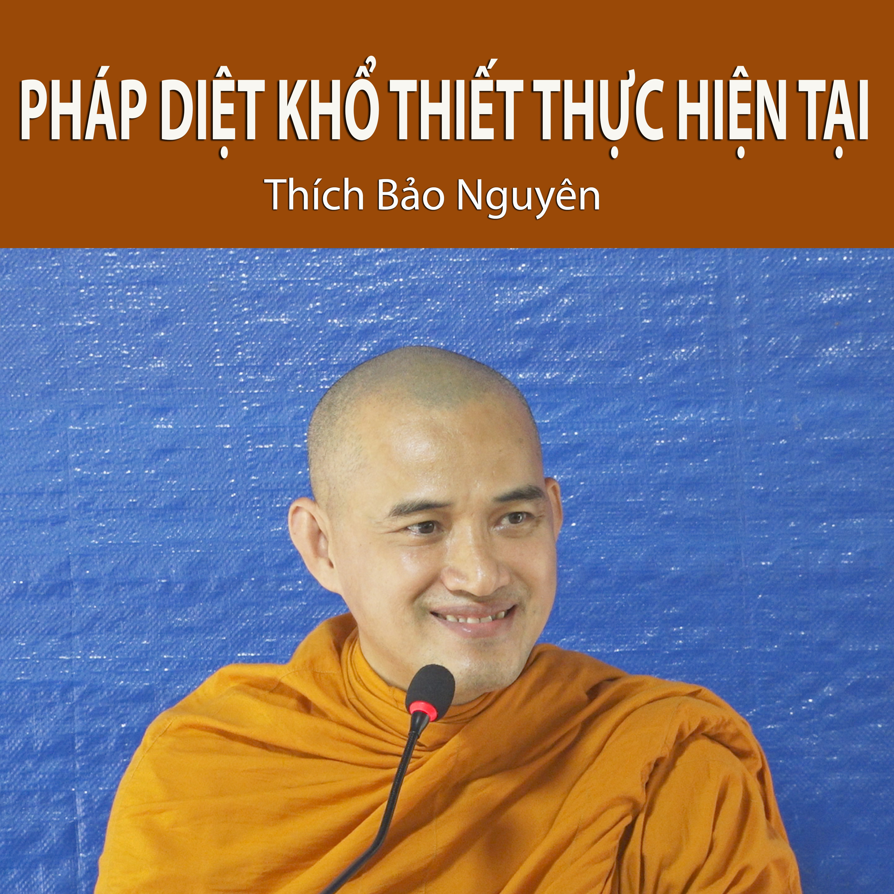 Pháp Diệt Khổ Thiết Thực Hiện Tại episode artwork