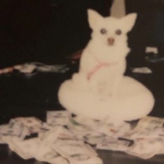 SOLARPOLARSNOW - ADDICT