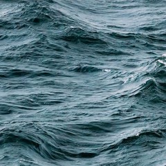 J adz X Waves - Payphone(2015)