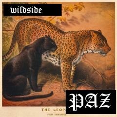 Wildside (feat. Kimberly Cole)