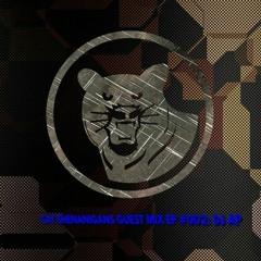 CAT SHENANIGANS GUEST MIX EP #002 : DJ AP