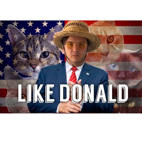 Like Donald (prod. Bricks On Da Beat)