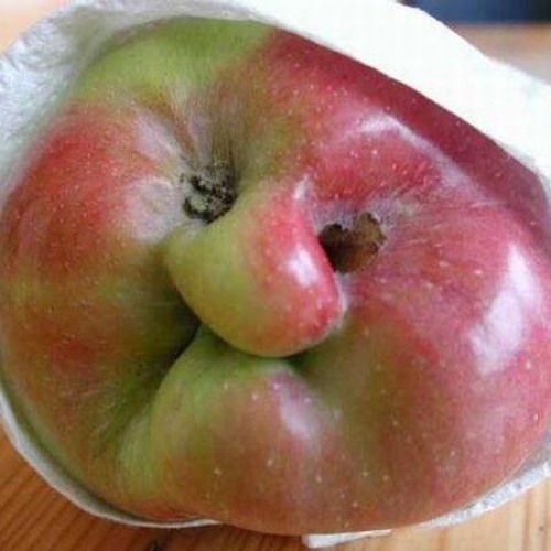 radioDinner #2 Part 1: bc3o + 1