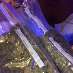 trap time