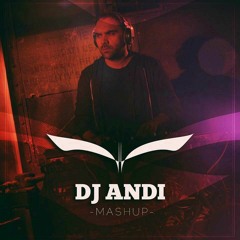 Who Loves The Sun (DJ ANDI Mashup)