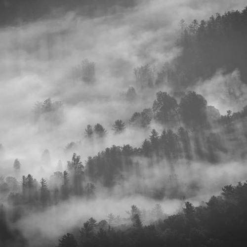 JUSTANOTHERFORGOTTENMAN