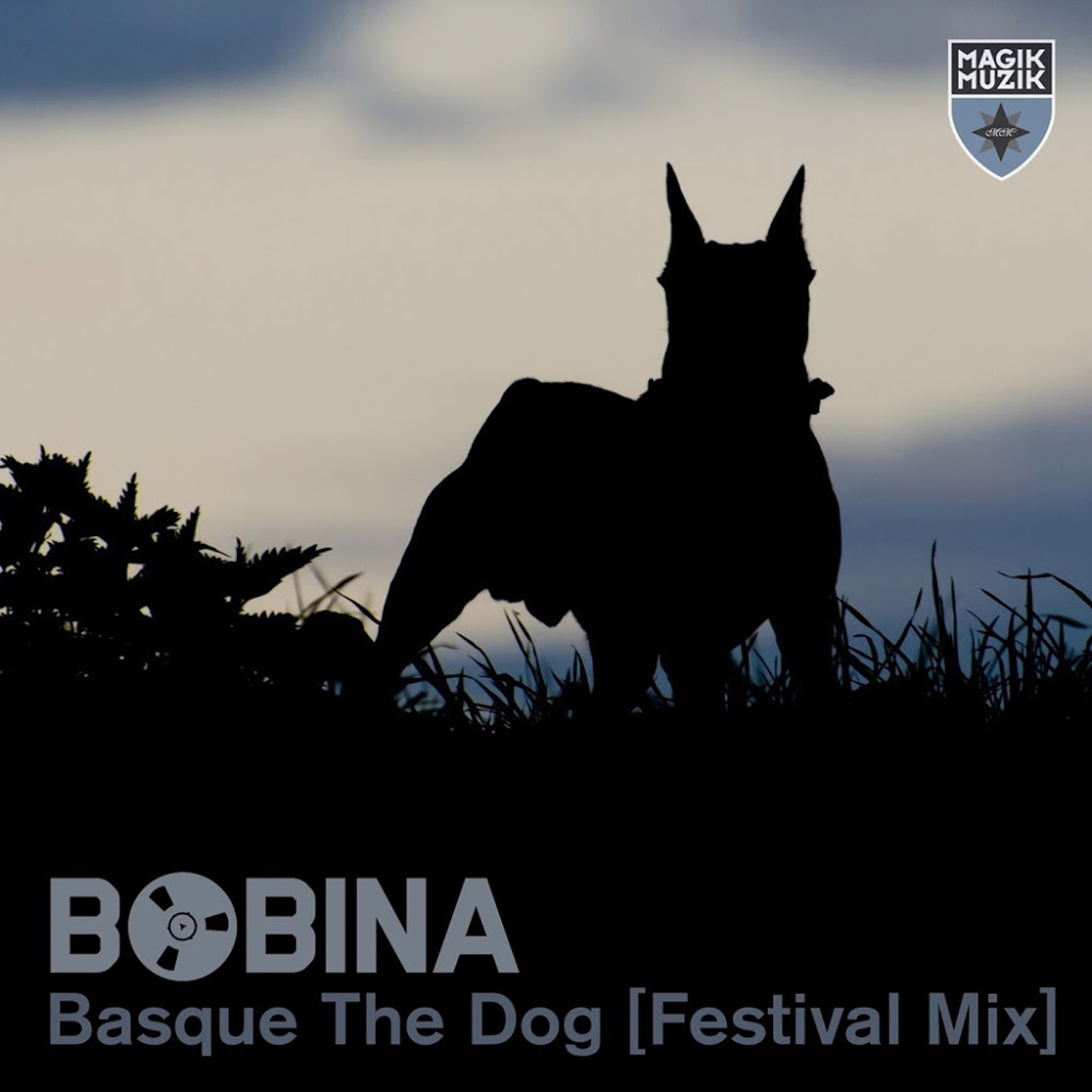 Bobina